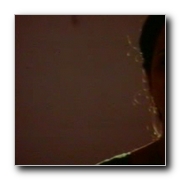 tamil movie Dalapathi